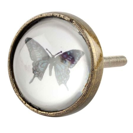 Butterfly Inside Glass And Metal Drawer Knob